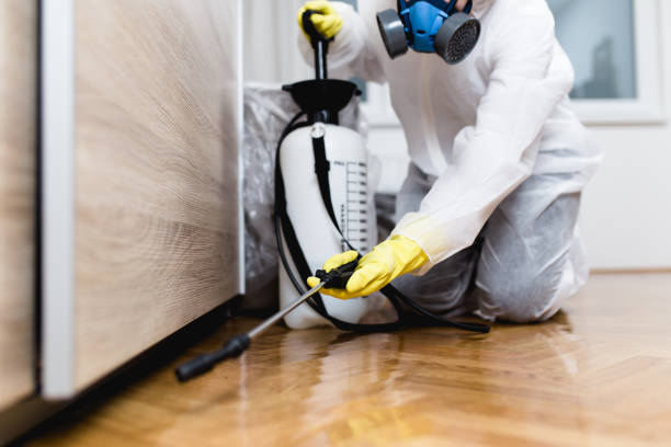 Best Rat Extermination Near Me  in Mount Vernon, WA