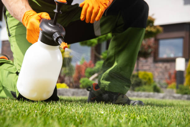 Best Mosquito Control Services  in Mount Vernon, WA