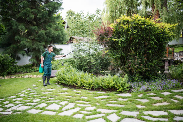 Professional Pest Control in Mount Vernon, WA
