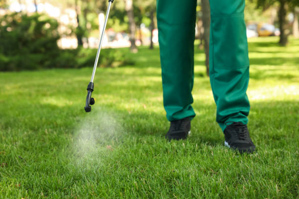 Best Best Pest Control Companies  in Mount Vernon, WA