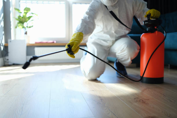 Best Local Pest Control Services  in Mount Vernon, WA