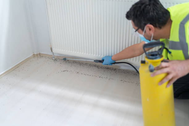 Best Pest Removal Services  in Mount Vernon, WA